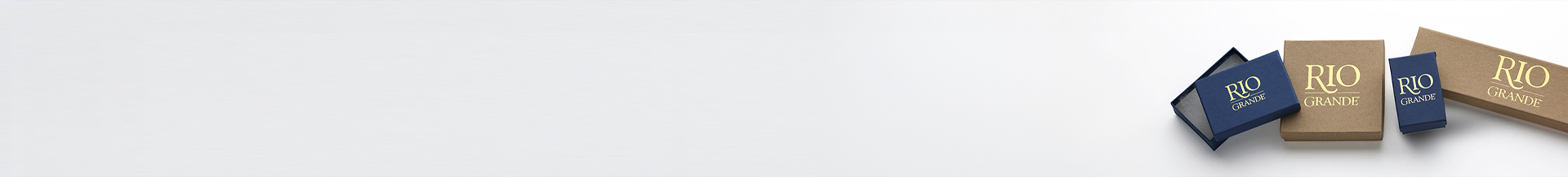 rio banner